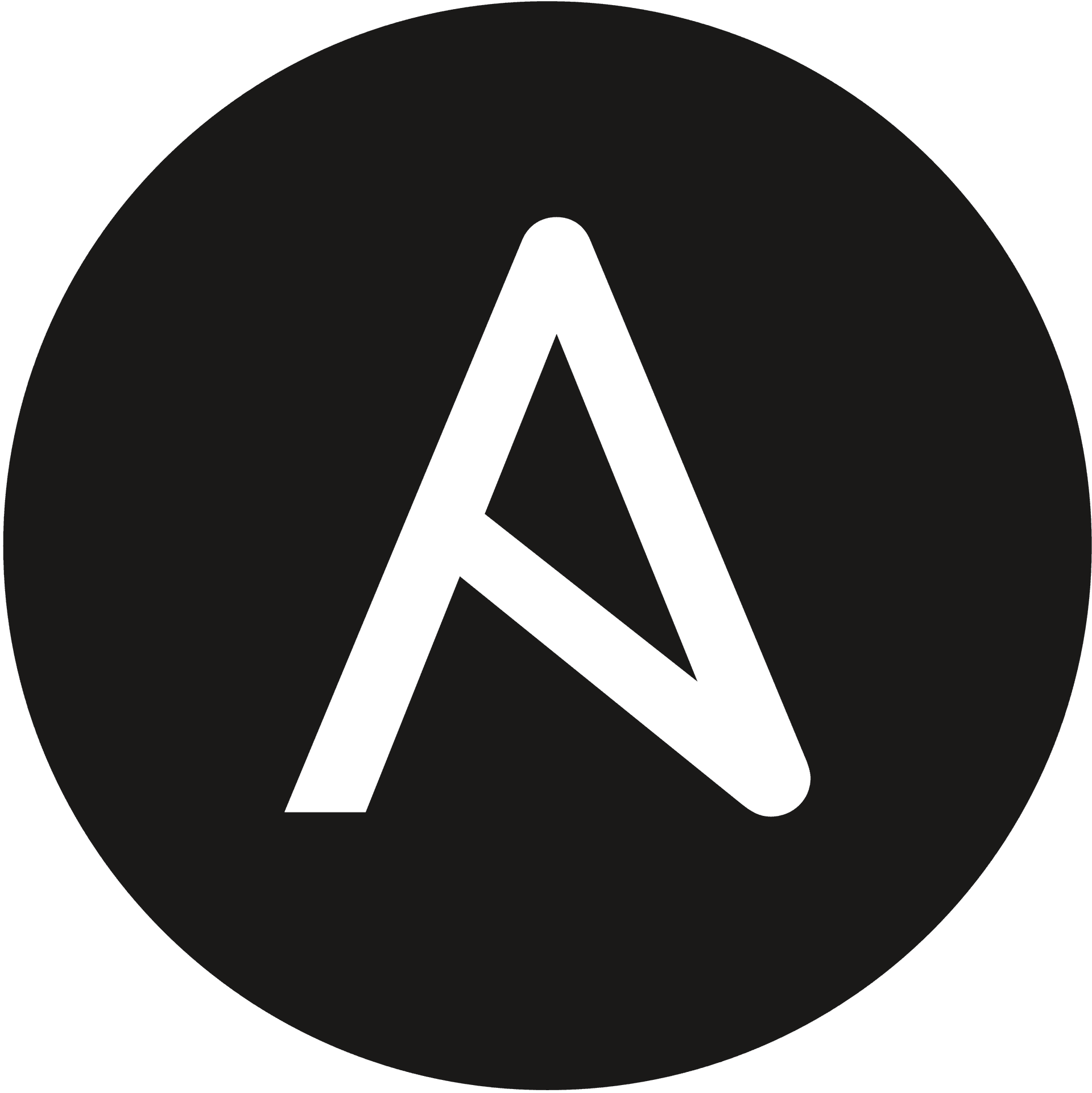 System Monitoring & Observability